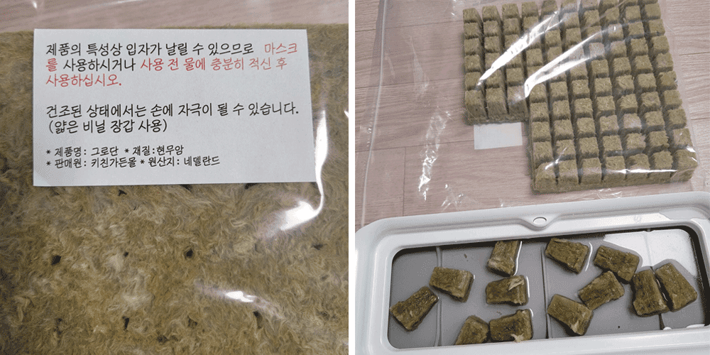 암면 배지 작업 사진
