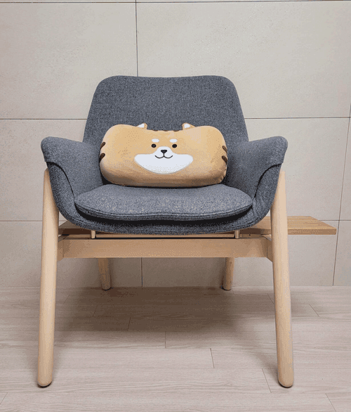 의자, 개등이 쿠션, 선반
